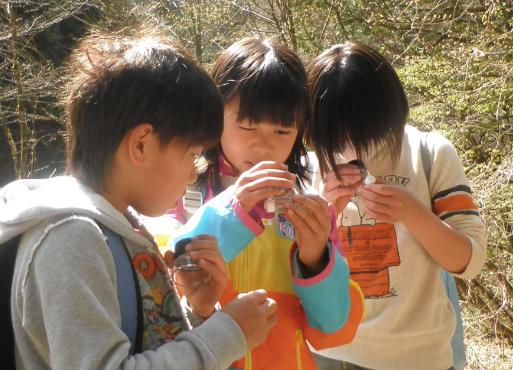 いきものみっけ