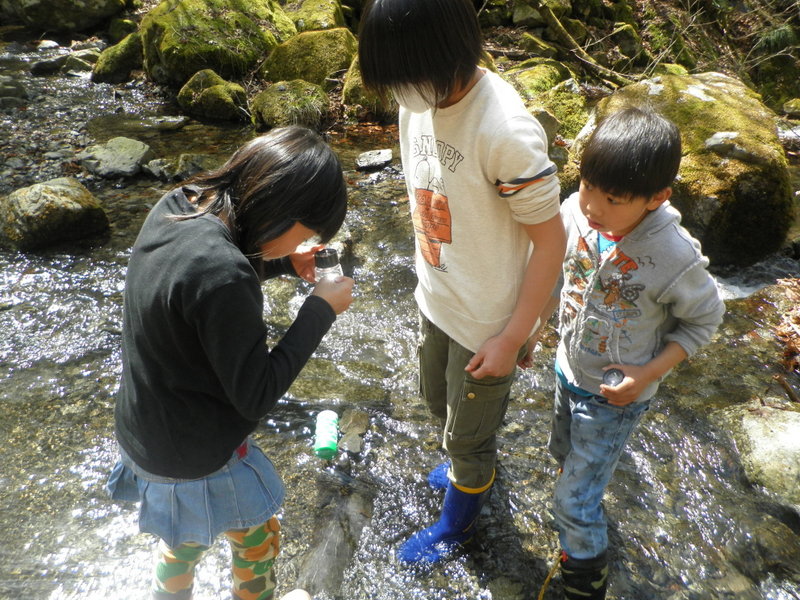 いきものみっけ奥多摩